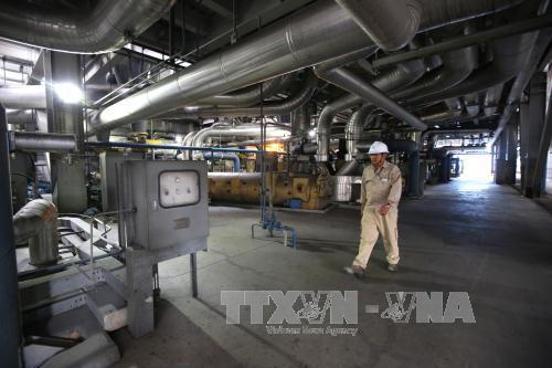 Cổ phần hóa Công ty mẹ - Tổng Công ty Phát điện 1